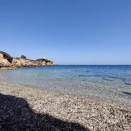 House Tatil Evi