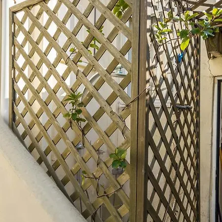 House Tatil Evi